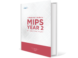MIPS-eBook_Image_Mockup