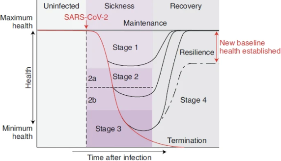 Ayres - Stages of COVID recovery